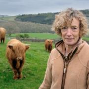 Julia Carr with Highland cattle on her Yorkshire Dales farm