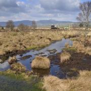 Peatland restoration work