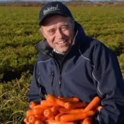 Carrot grower Guy Poskitt sends a stark message from fruit and veg growers
