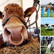 Agricultural shows are a staple of the countryside caldendar Pictures: Northern Echo