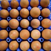 NFU calls for Defra investigation into the egg supply chain