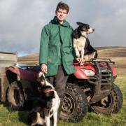 Will Dawson, an Ingleborough commoner with his dogs, Bette and Jill. Commoners in the Dales have restored ancient sheep pens to help with livestock gathers.