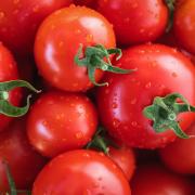 A shortage of tomatoes is being reported Picture: PIXABAY