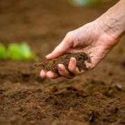 Soil composition directly influences crop yields and quality