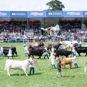 Calls are being made for Royal Highland Show entries