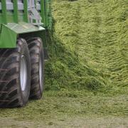 New analysis has compared the benefit of multi-cut silage with a traditional three-cut approach