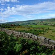 Dry stone walls in the North York Moors