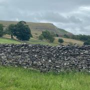 Nature-based farming schemes are being extended in the Yorkshire Dales Picture: LDRS