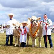 Supreme Beef Champion, Brownhill Netta with calf Newland Tanza with, from left,Thor Atkinson, Franky Atkinson, and Steven O'Kane at last year's Great Yorkshire Show