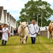Cattle exhibitors at the 2023 Great Yorkshire Show