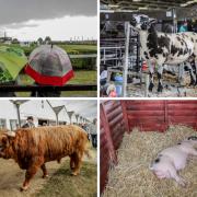 Thousands of people turned up in all weathers for the first day of the Great Yorkshire Show