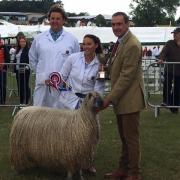 The Wensleydale Champion  owned by Harrison Spinks beds