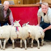 Rob Ellis, right, with the family’s latest prime lamb champions at Skipton, joined by show judge Mick Etherington