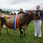 Jersey  Interbreed Supreme Dairy Champion presented by J L Shaw and Son