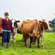 Laura and Andrew are amongst the many farming families who have benefited from the free Farm for the Future programme