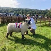 Stephen Short at Wolsingham Show 2023 with his breed champion, a ewe lamb by Highcliffe Highlight