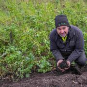Cover Crops Guide lead and farmer Angus Gowthorpe – Picture: Simon Hill Photos