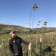 Sam Newton, woodland creation officer in the North York Moors National Park Picture: NYMNPA
