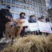 Bulgarian farmers family hold posters reading: 