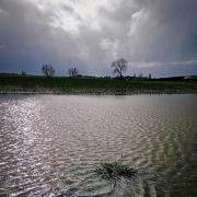 Flooded land near Sherburn village, Durham Picture: DAVID EVERETT